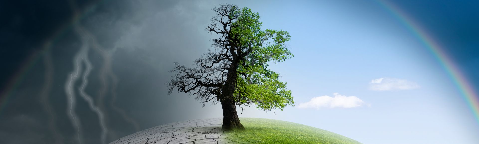 Cambio climático