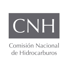Acuerdo CNH.E.60.006/2020 por el que se emiten los lineamientos de supervisión