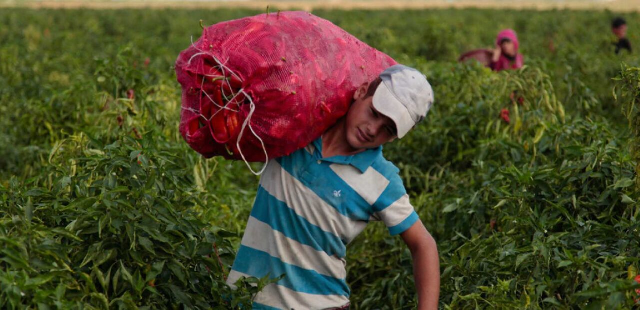 México da un paso adelante contra el trabajo infantil… y otro hacia atrás