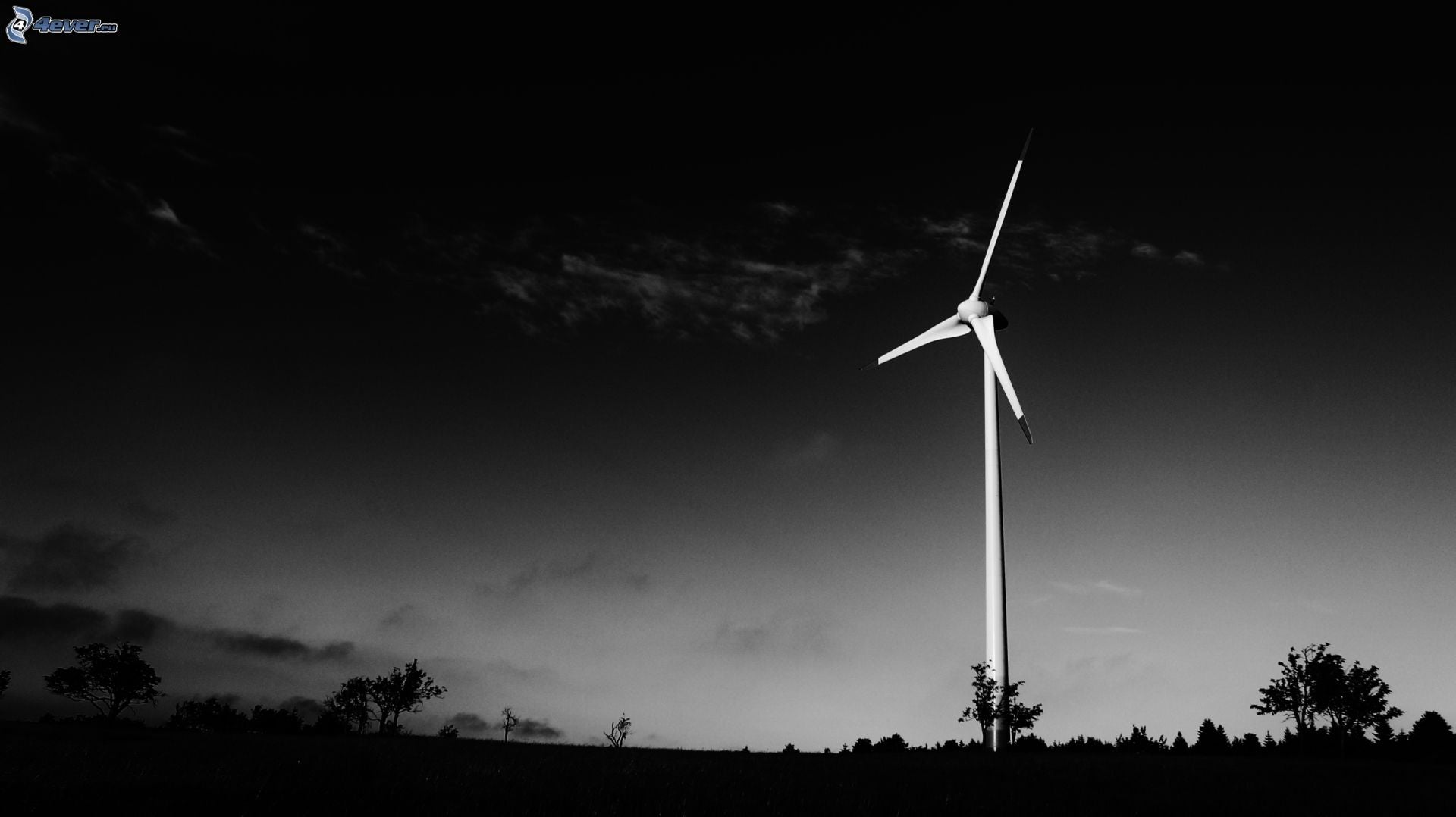 Cofece: México incumpliría acuerdo de París por falta de certificados de energía limpia