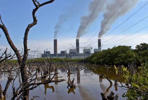 Dañaría al ambiente la propuesta oficial de ley eléctrica